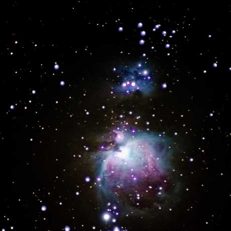 Orion